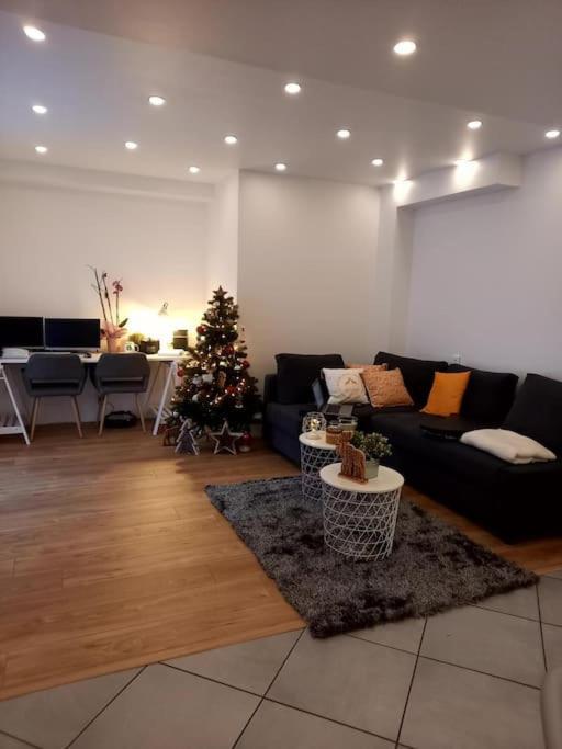 Superbe Appartement Moderne En Rez-De-Chaussee Ozoir-la-Ferriere ภายนอก รูปภาพ